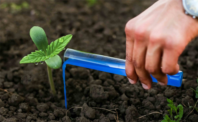 Микроудобрения дял марихуаны