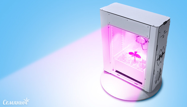 Скрытное выращивание конопли