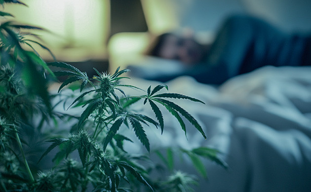Влияние марихуаны на качество сна и контроль веса