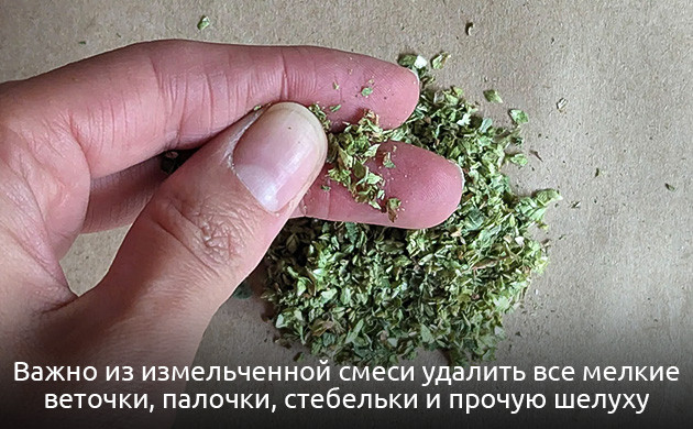 Подготовление шишек