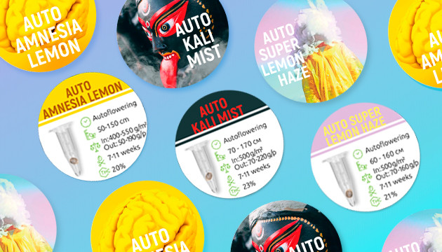 Автоцветы от Семяныча