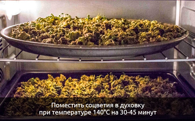 В какой форме добавлять коноплю в бекон