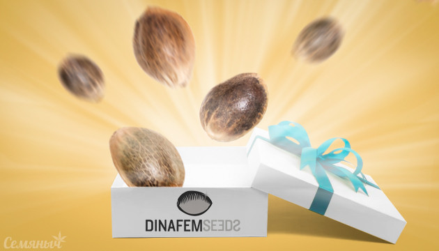 Дополнительные бонусные семена от Dinafem