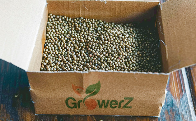 GroverZ: Доставка семян конопли по России