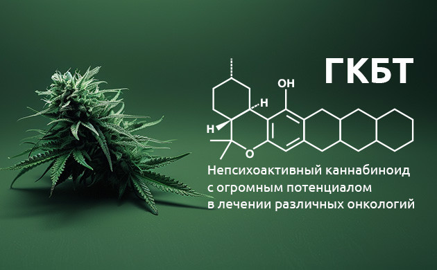 Ферментативное преобразование КБД: Что мы знаем о ГКБТ?