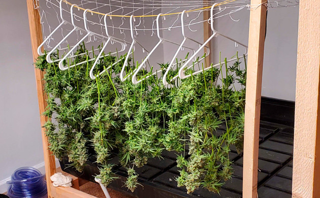 Подвешивание ветвей