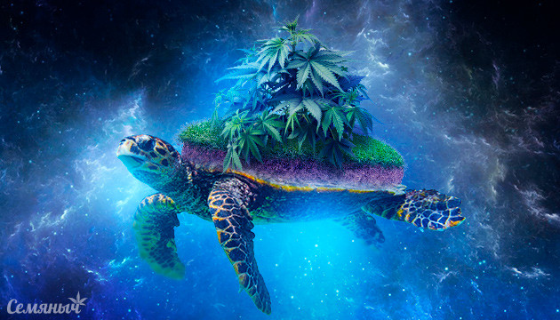 Мифы про выращивание в аутдоре