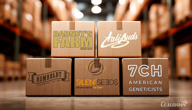 Пополнение склада на Семяныче