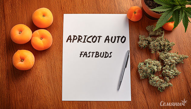 Гроурепорт сорта Apricot Auto от FastBuds
