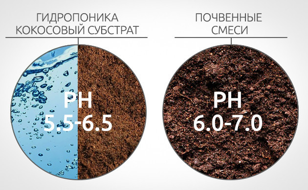 Причины нехватки молибдена у конопли