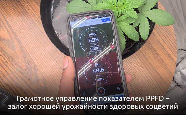 Оптимальные спектры освещения