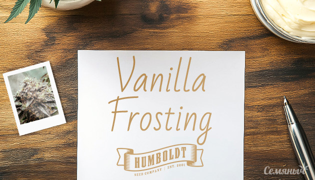 Гроурепорт по выращиванию сорта Vanilla Frosting