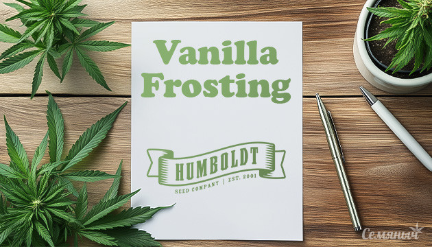 Начало пути с фотопериодными растениями Vanilla Frosting
