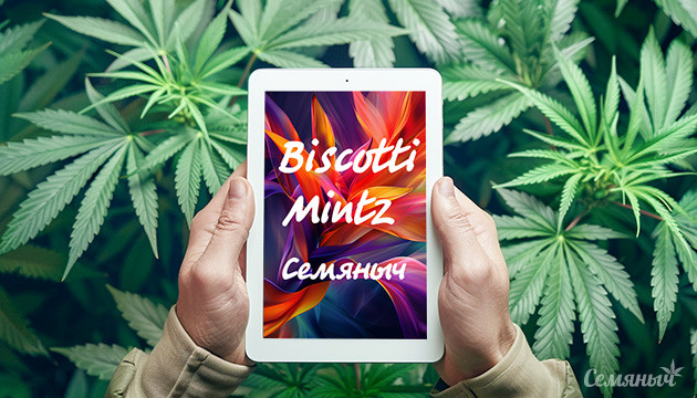 Гроурепорт по выращиванию сорта Strawberry Gorilla Auto