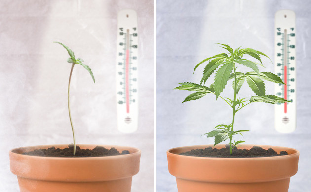 Влияние показателей температуры