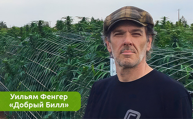 Растущая популярность живой смолы: многообещающий метод извлечения каннабиса