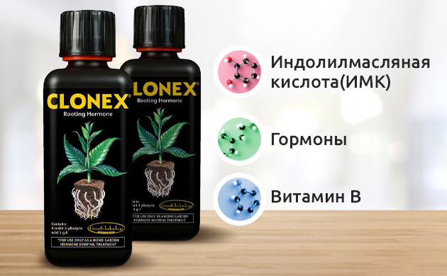 Корневой стимулятор Клонекс