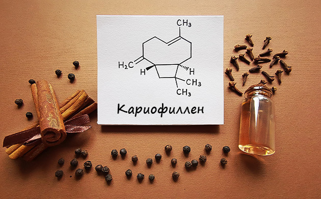 Химия бета-кариофиллена