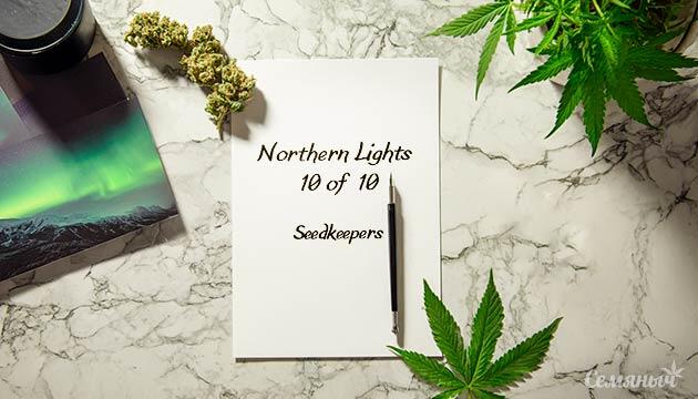 Гроурепорт сорта Northern Lights 10 of 10 от Seedkeepers