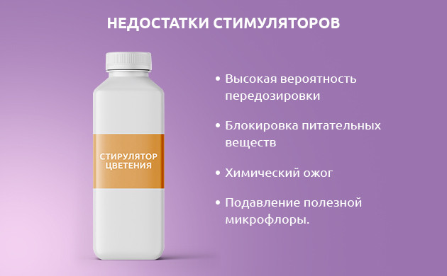 Негативные стороны применения стимуляторов цветения