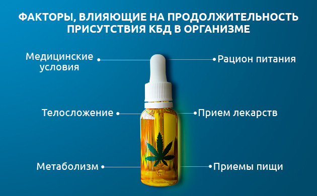 Другие факторы длительности распада КБД в организме