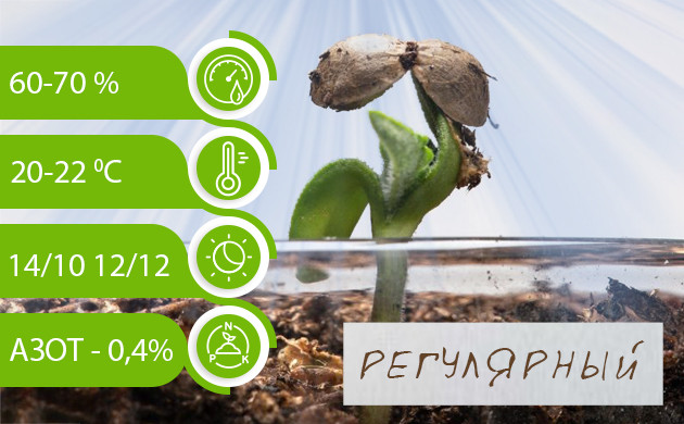Благоприятные показатели для получения женского растения