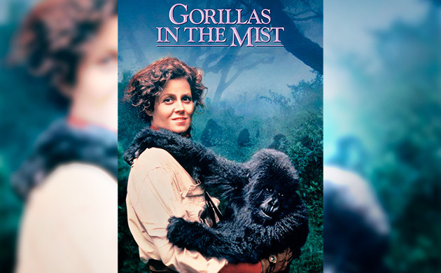Киновечер с Семянычем: Гориллы в тумане (1988)