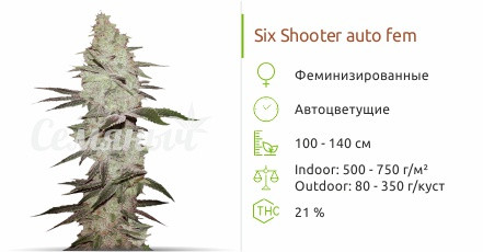 Six Shooter auto от FastBuds