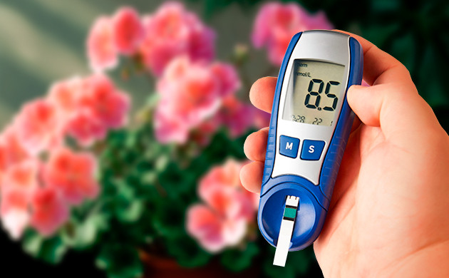 Гераниол и диабет