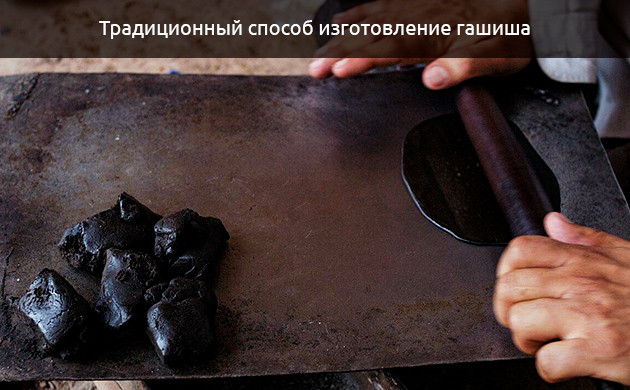 Никка Ти: Дорога от BHO к solventless гашишу