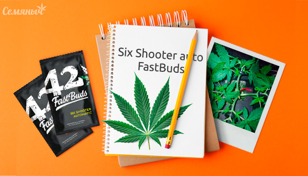 Гроурепорт сорта Six Shooter auto от FastBuds