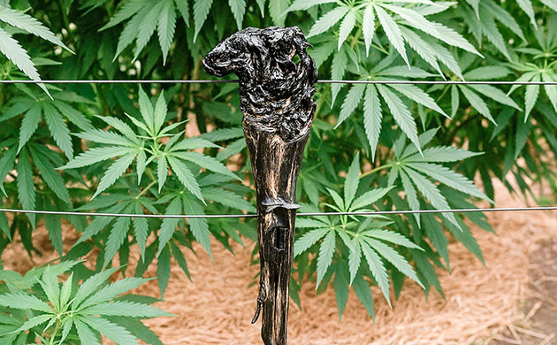 Палки для ходьбы: творческое мастерство