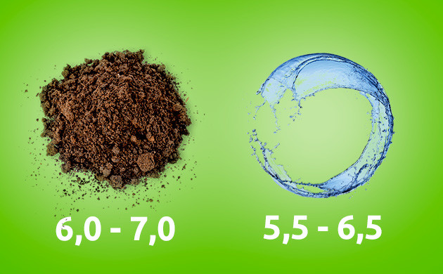 pH и выращивание автоцветов