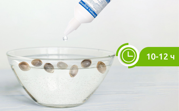 Семена в воде на 10-12 ч