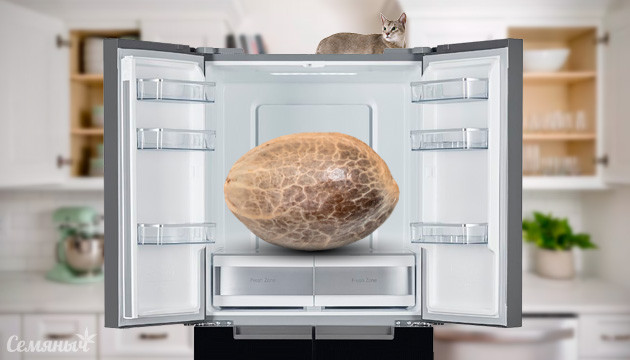 Хранение семян конопли