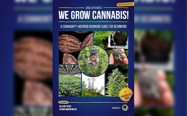 Сотрудничество с лучшими экспертами