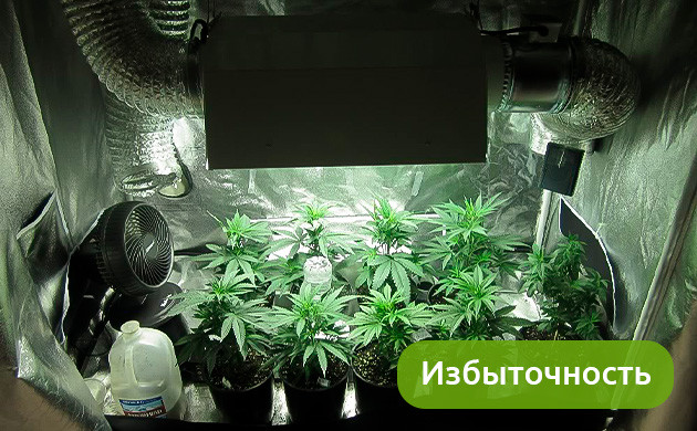 Избыточность при проектировании гроубокса/гроурума