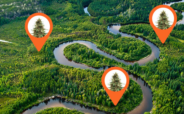 Места для выращивания вблизи реки