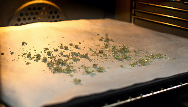 Сушка каннабиса в духовке