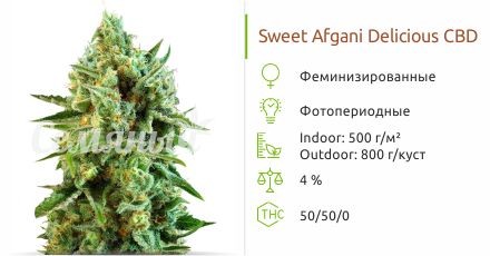 S.A.D. Sweet Afgani Delicious CBD fem (Sweet Seeds)