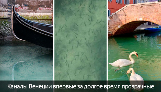 Каналы Венеции стали прозрачными