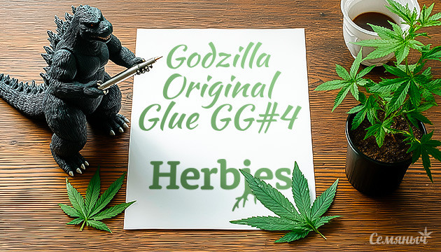 Гроурепорт сорта Godzilla Original Glue GG#4 от Herbies Seeds