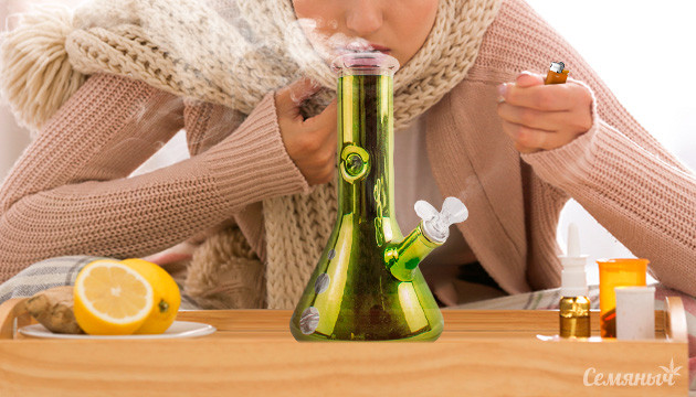 Конопля и распространенные зимние недуги