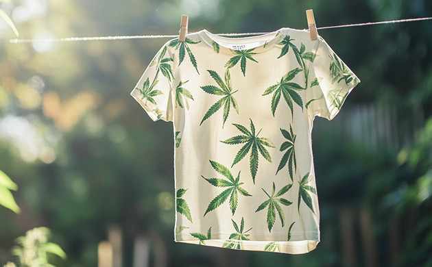 Свежий воздух против запахов