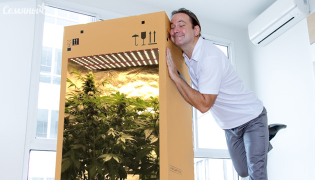 Гроу-коробка для конопли