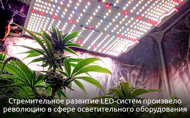 Технология освещения и особенности спектра