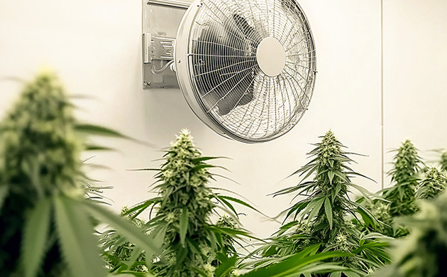 Вентиляция для гроубокса