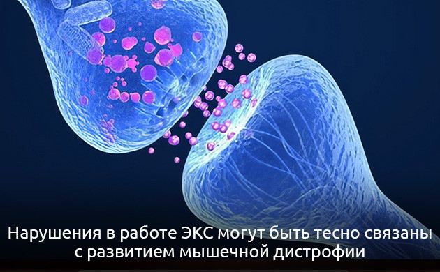 Последствия нарушения работы эндоканнабиноидной системы
