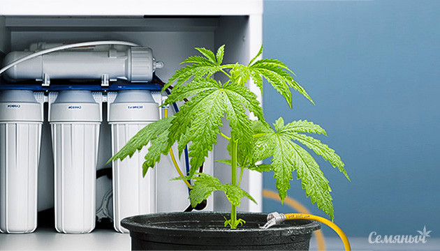 Очистка воды через обратный осмос