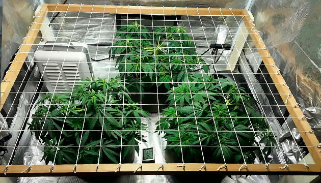 Рамка для ScrOG